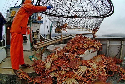 Russia Says Volume of King Crab in Barents Sea May Equal Far East in a Few Years; Cod Catches Drop